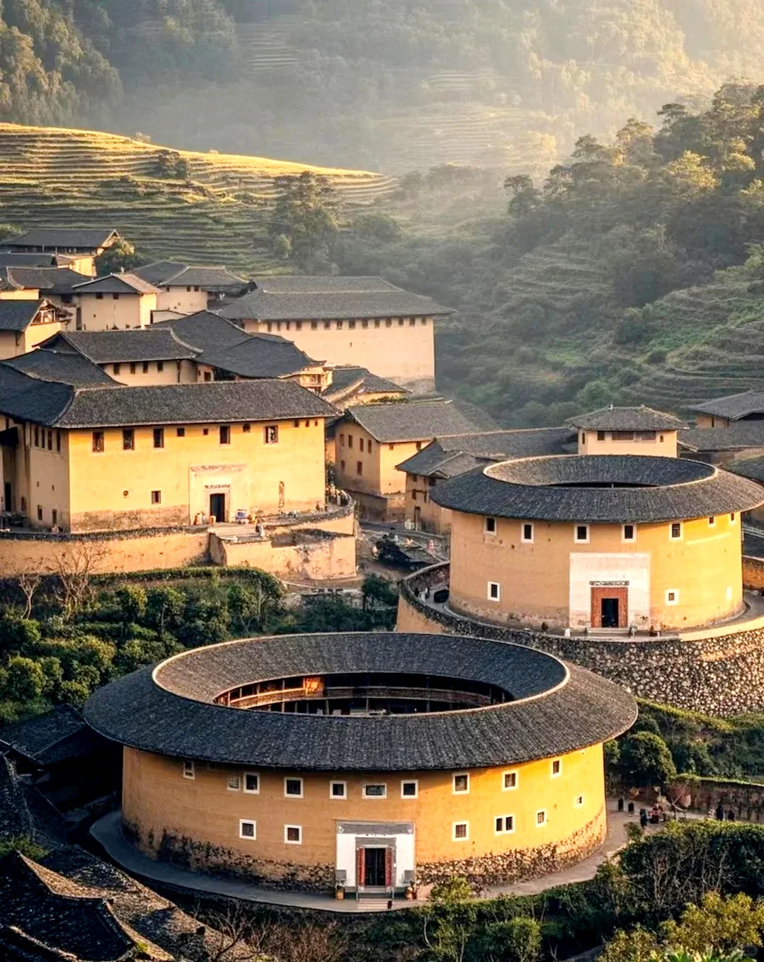 “椿去湫来，海棠花开”