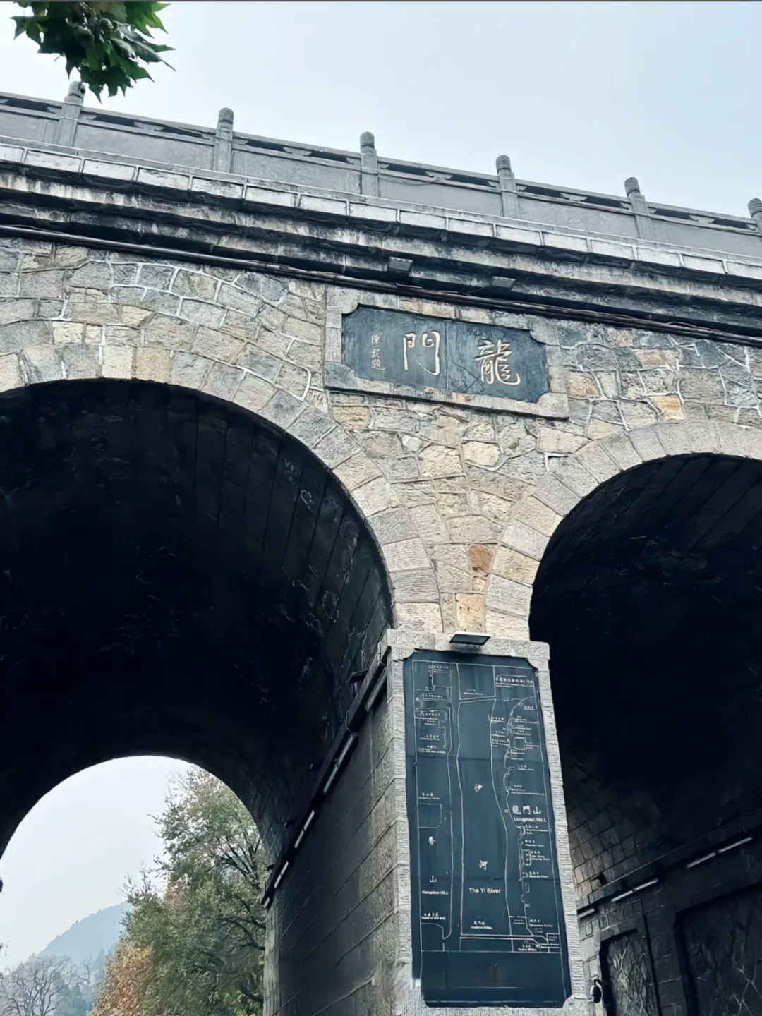 带爸妈去洛阳，2025赏花全攻略 路线+美食