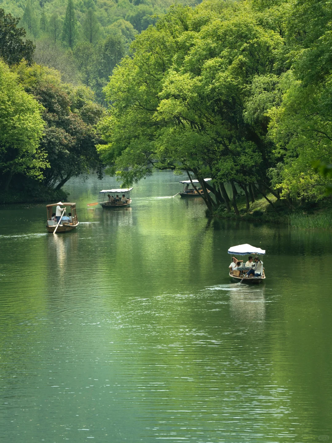 杭州|建议感觉能量低的人都走一下这个路线