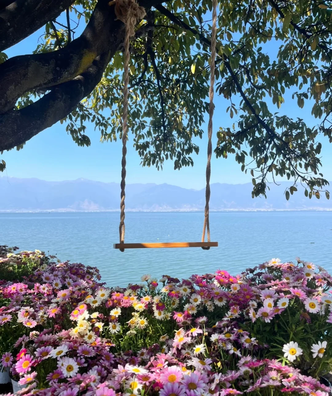 大学生云南旅游攻略 人均2k！！