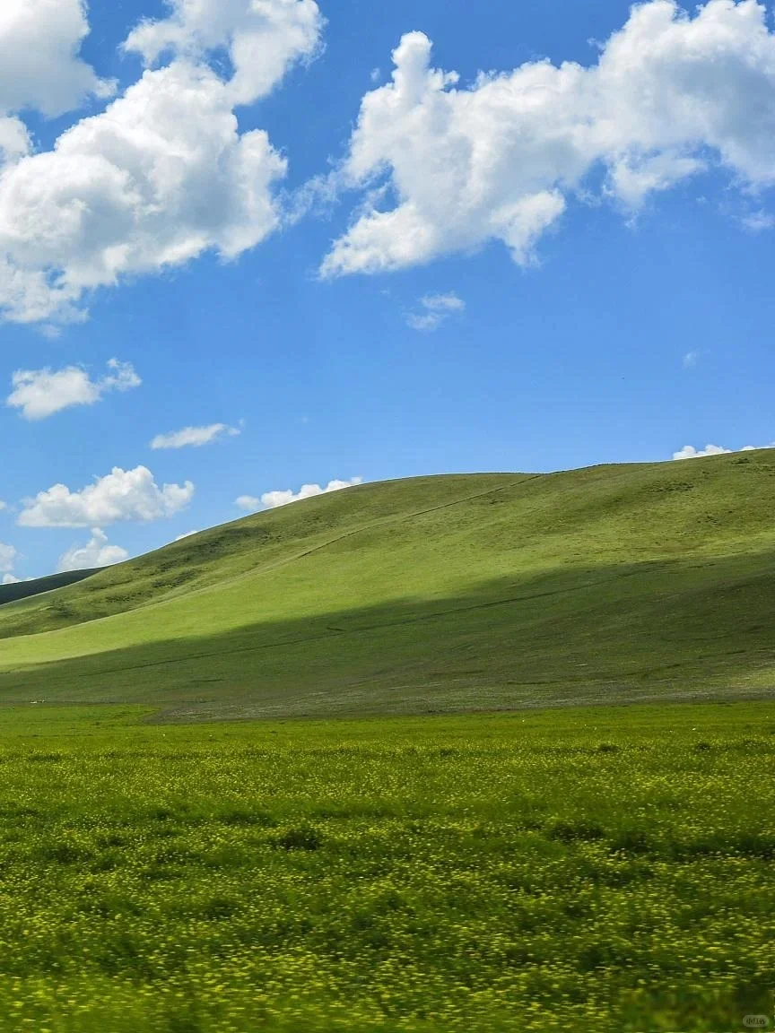 真心建议五一死磕西北，便宜到怀疑人生😅