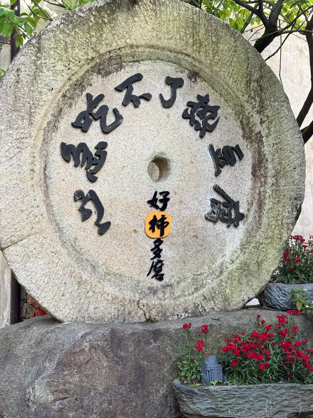 婺源一日游攻略🔥篁岭+婺女洲双景点全记录