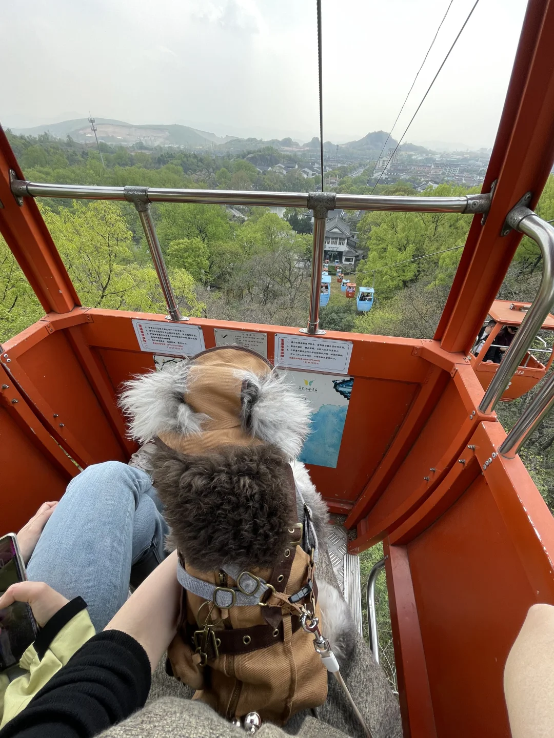 带着小狗去旅行