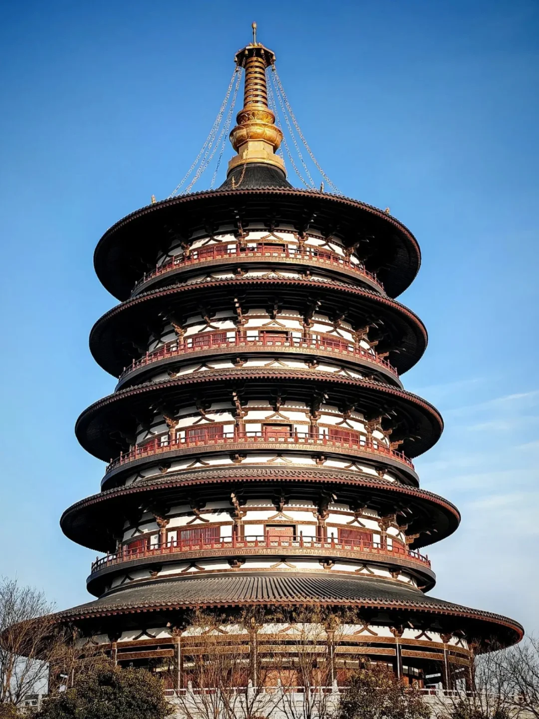 带爸妈去洛阳，2025赏花全攻略 路线+美食