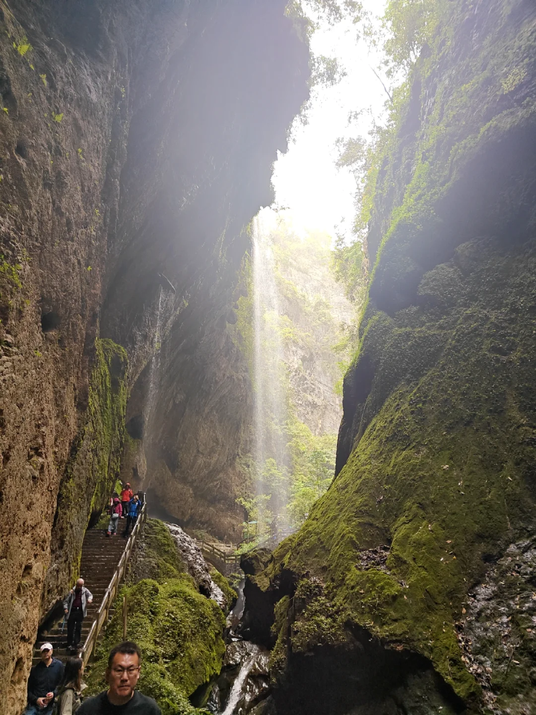 山里隐藏的水灵灵小瀑布🌊