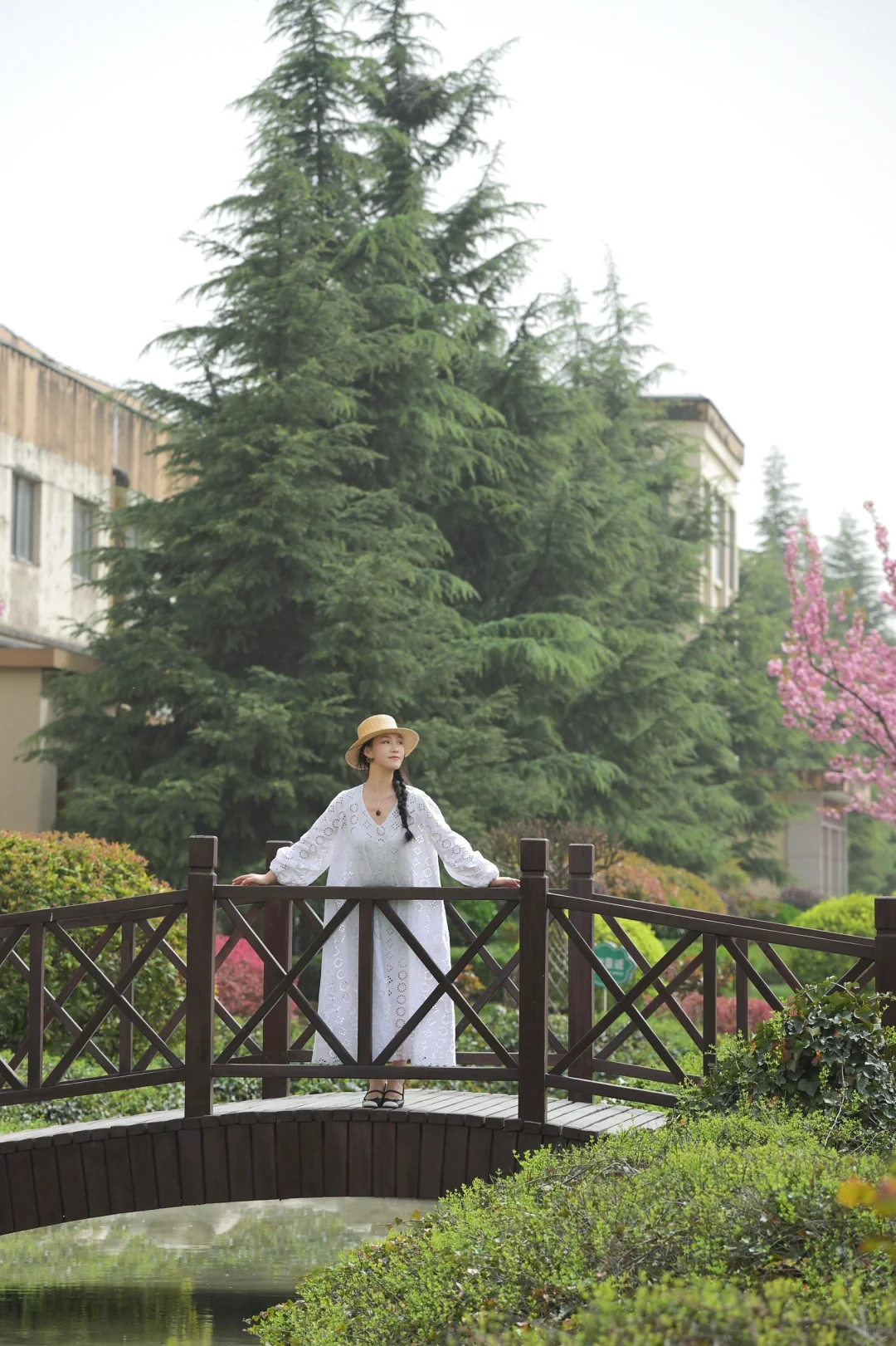 在陇南｜赏樱🌸品酿～