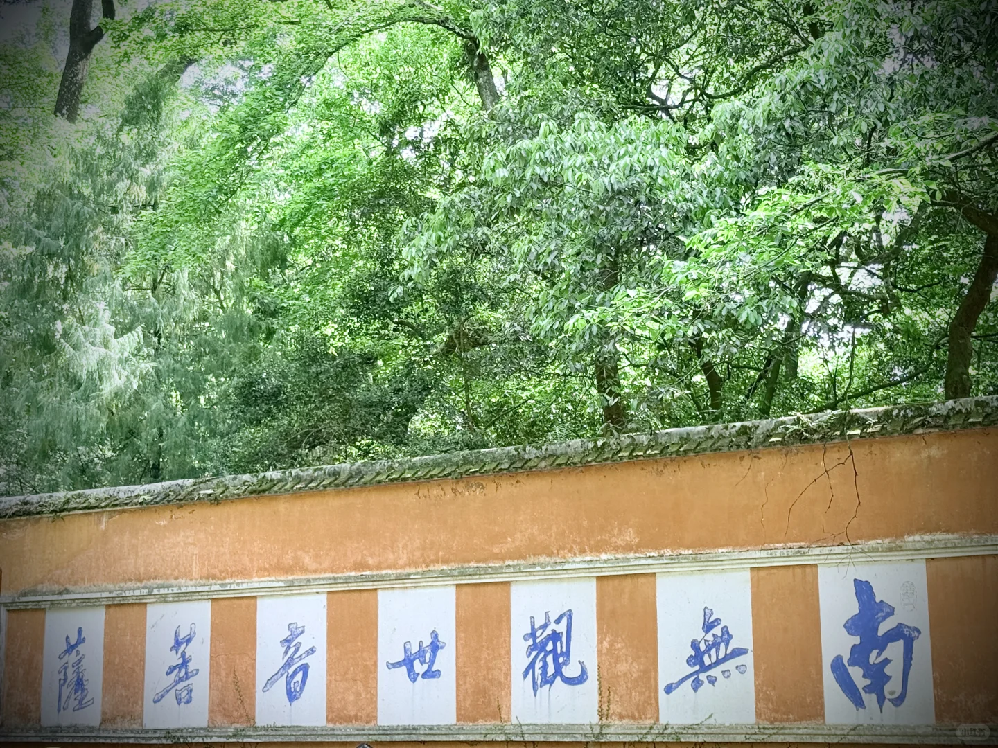 清心静气来寺庙