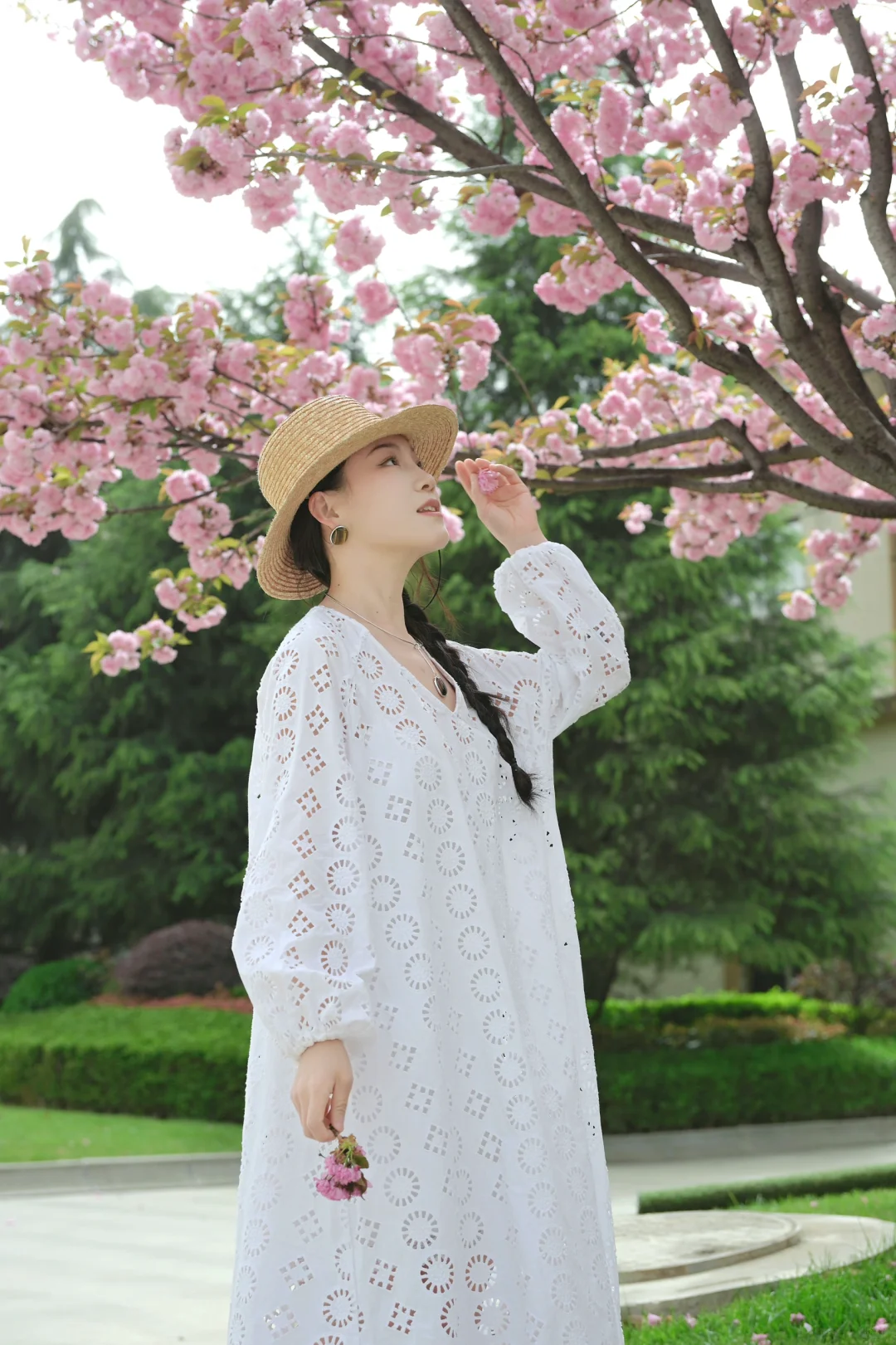 在陇南｜赏樱🌸品酿～