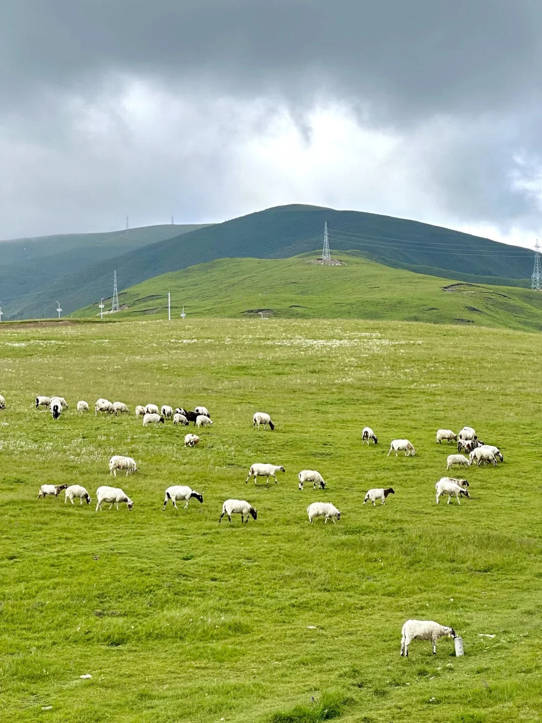 真心建议五一死磕西北，便宜到怀疑人生😅