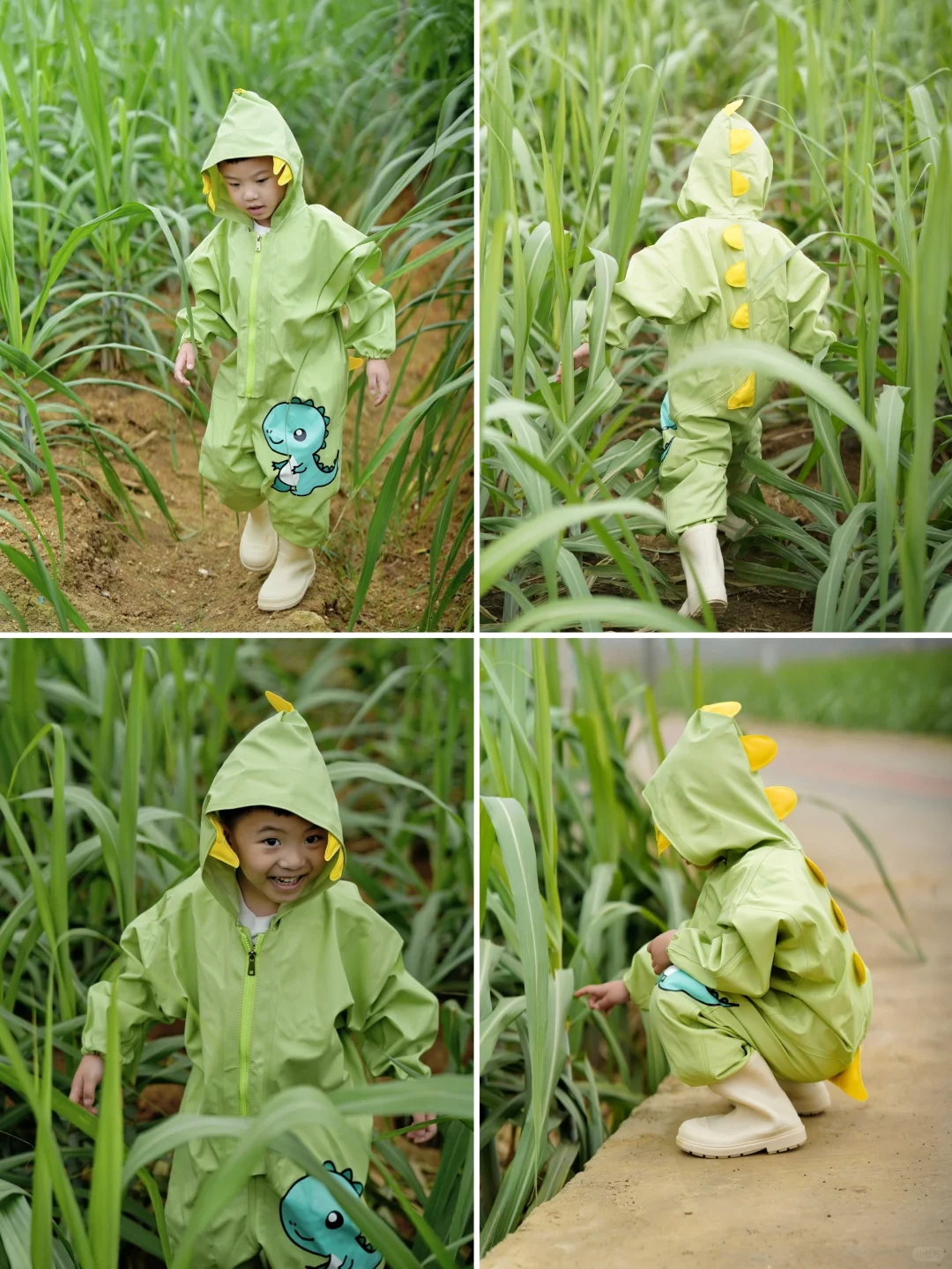 广西山水不止桂林崇左｜龙州也值得走一趟哇