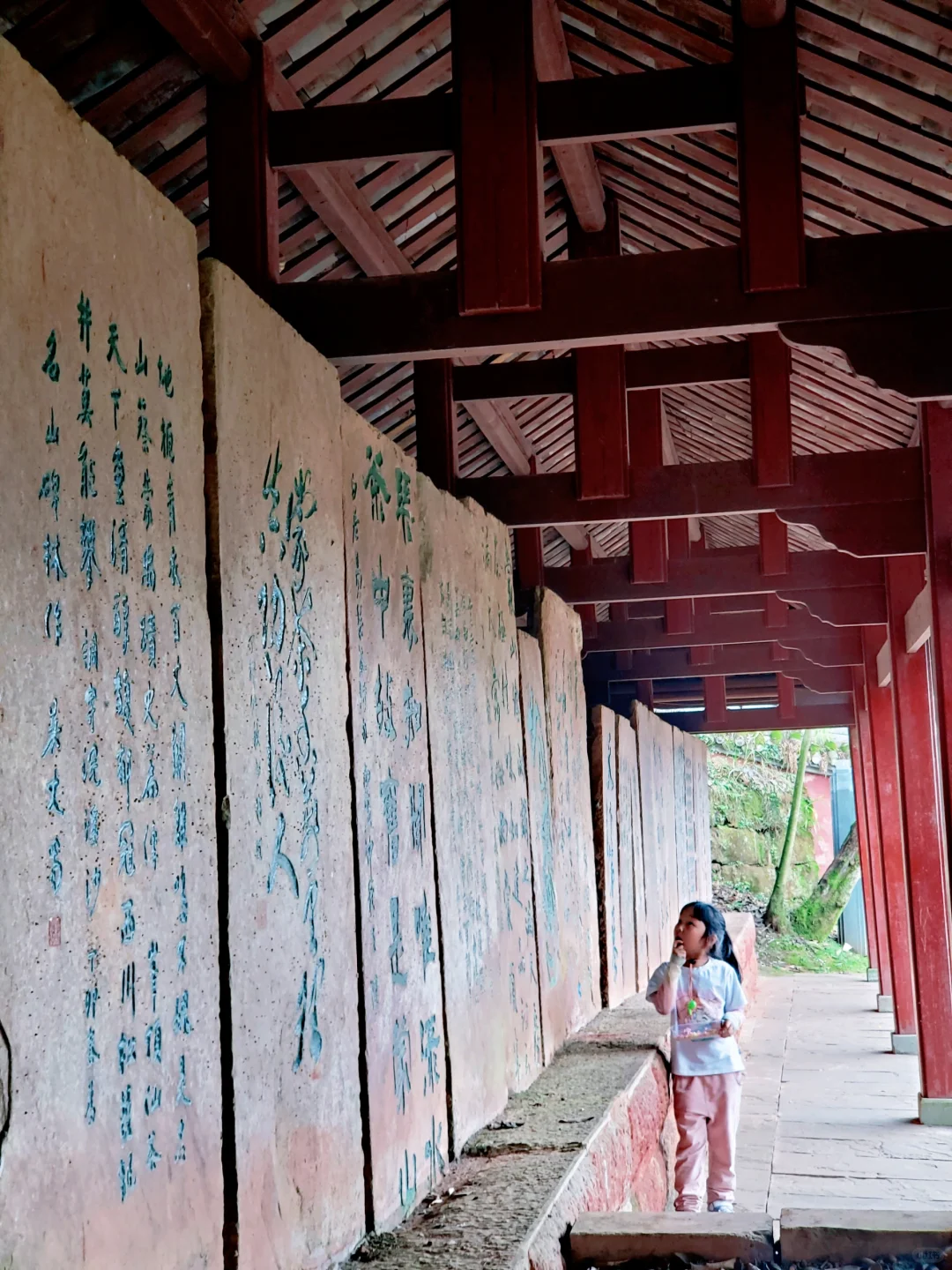 刚回来❗蒙顶山采茶徒步，亲子奖牌拿下‼️