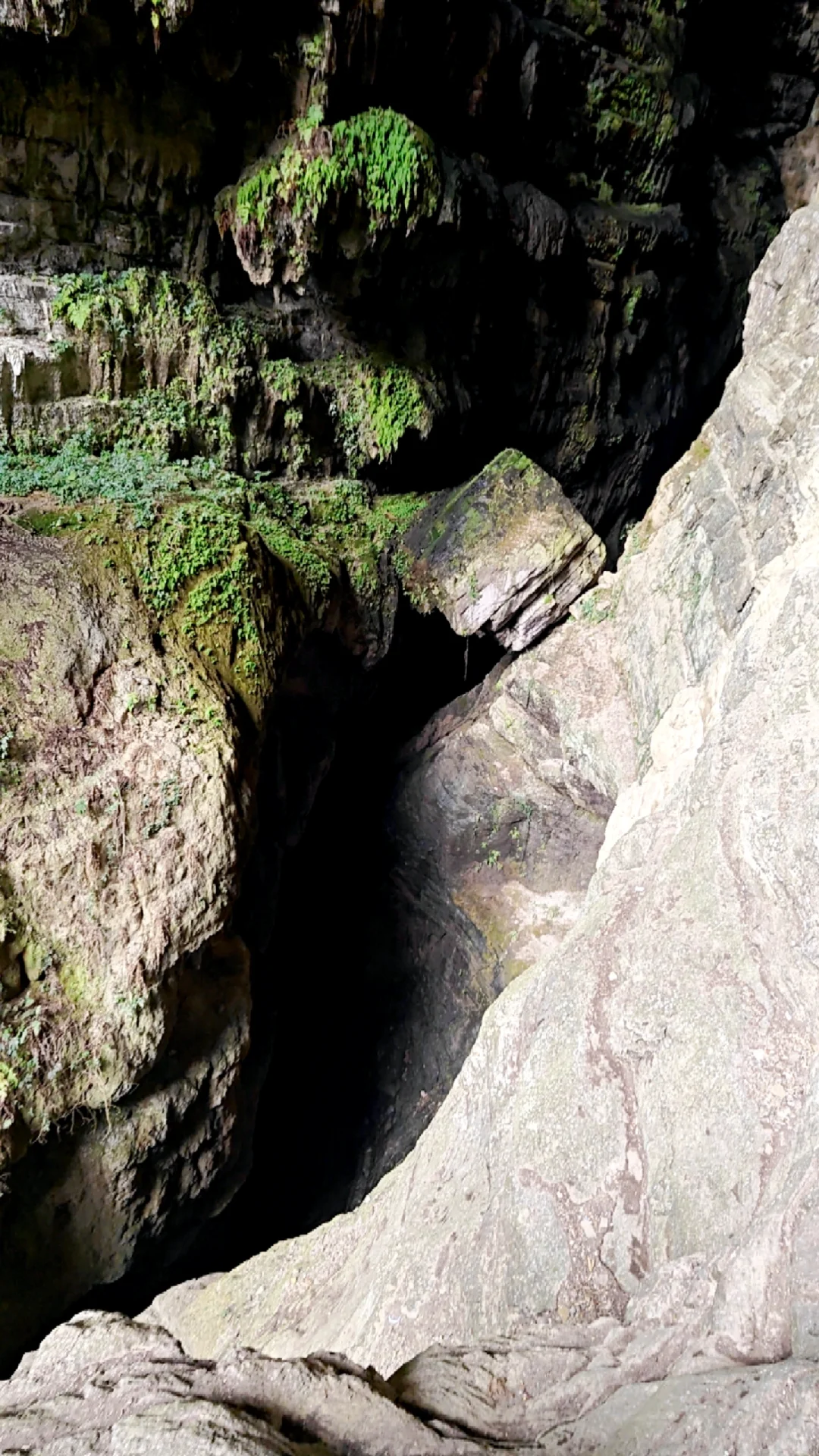 山里隐藏的水灵灵小瀑布🌊