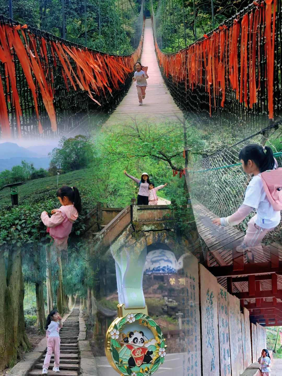 刚回来❗蒙顶山采茶徒步，亲子奖牌拿下‼️