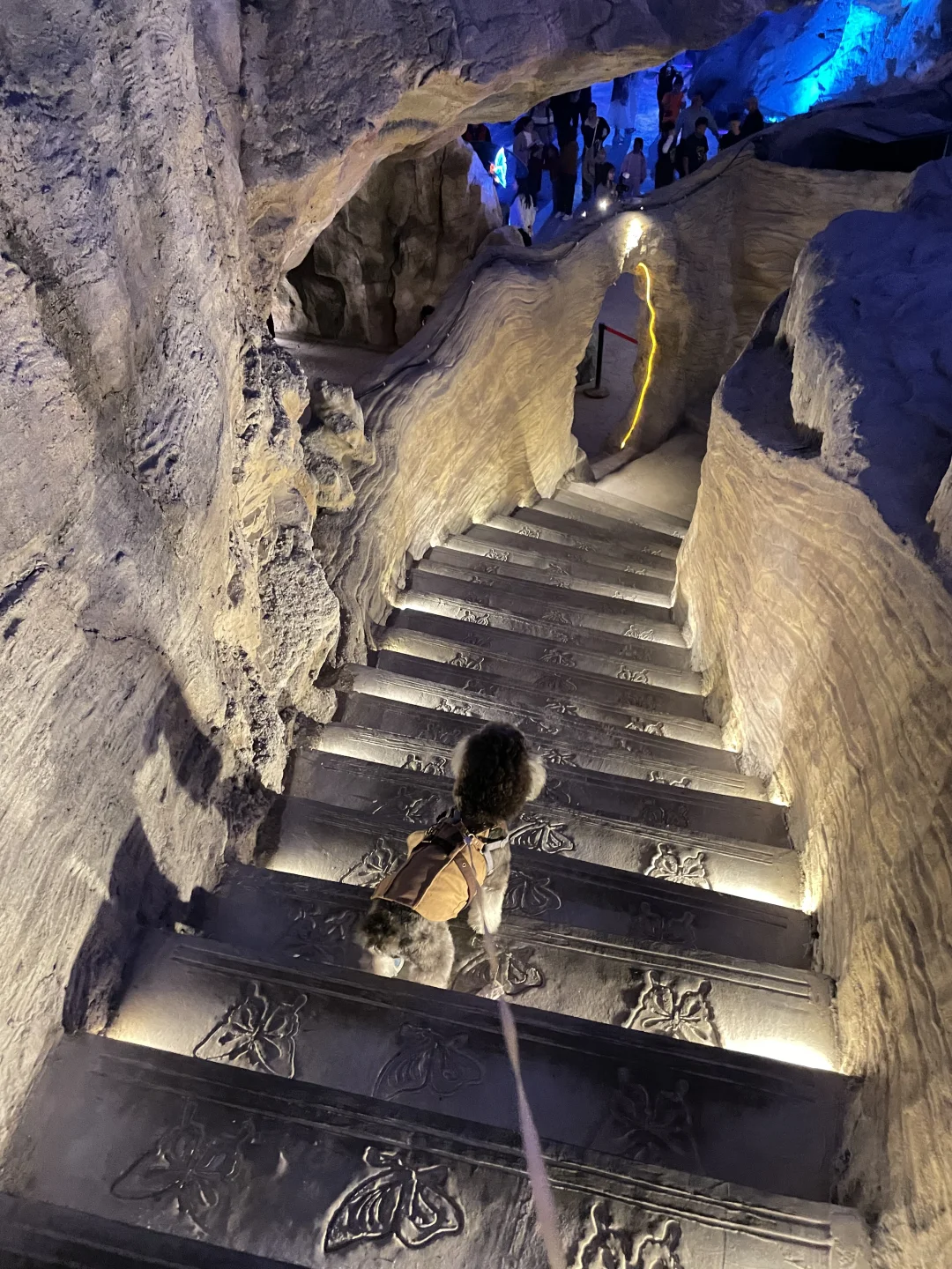 带着小狗去旅行