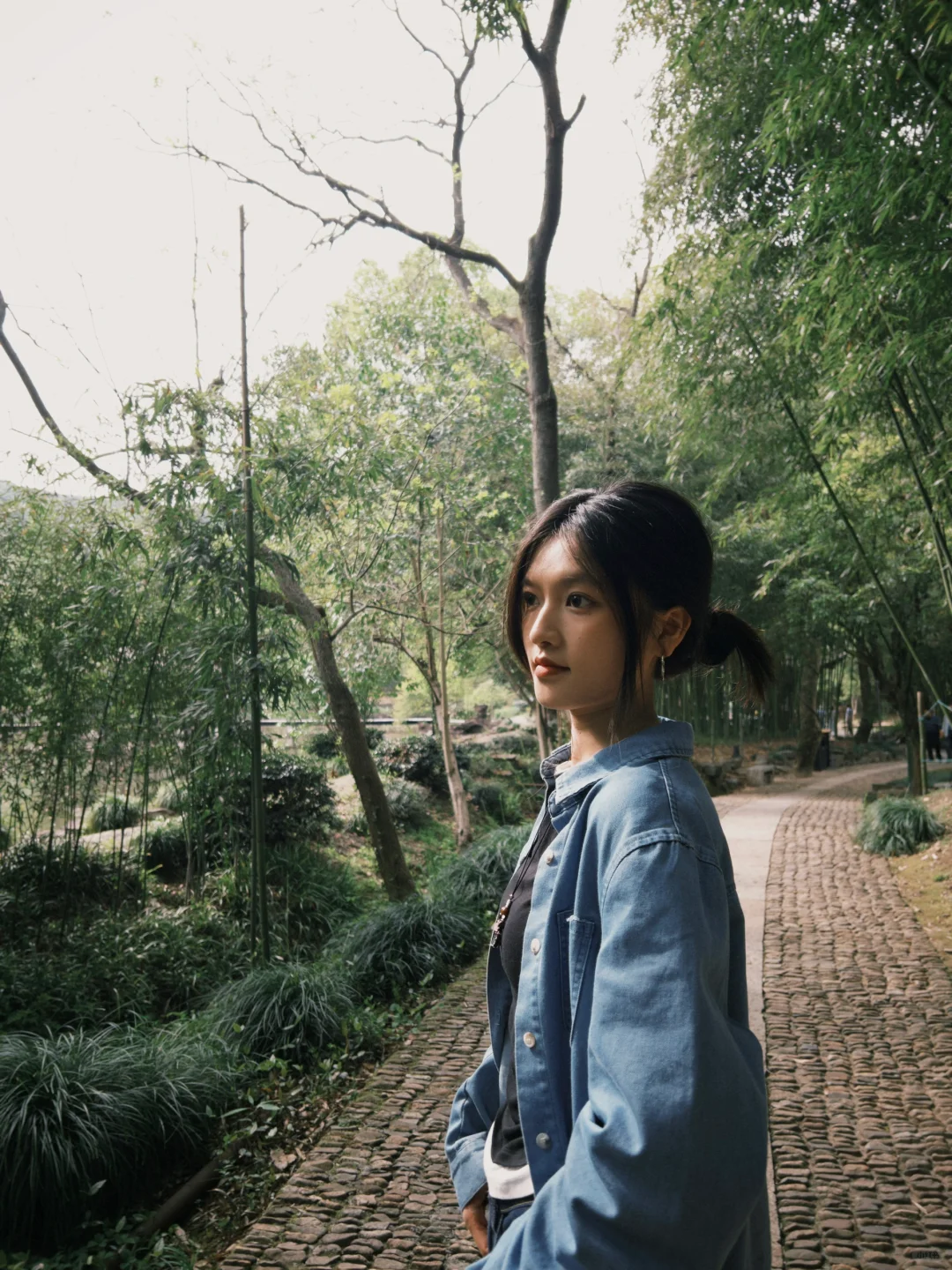 无关风月 我题序等你回