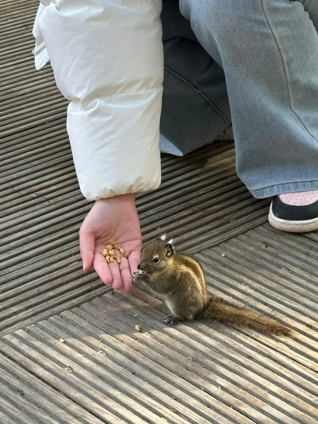 4.9📍九寨沟live实况直出…大自然的调色盘🎨