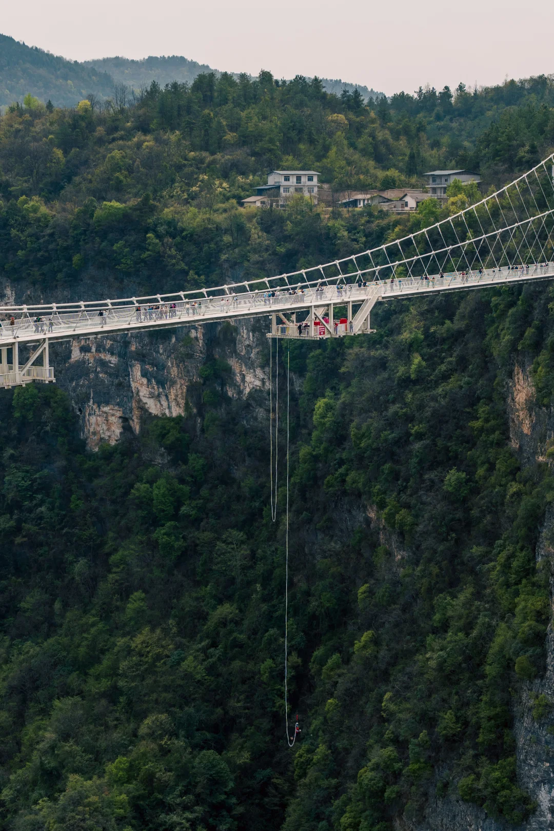张家界⼤峡⾕真的不⽤宣传！还想再来 N 次