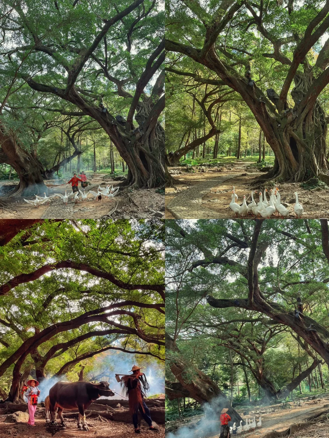 🌊霞浦｜四天三夜看海攻略｜小众海岛的浪