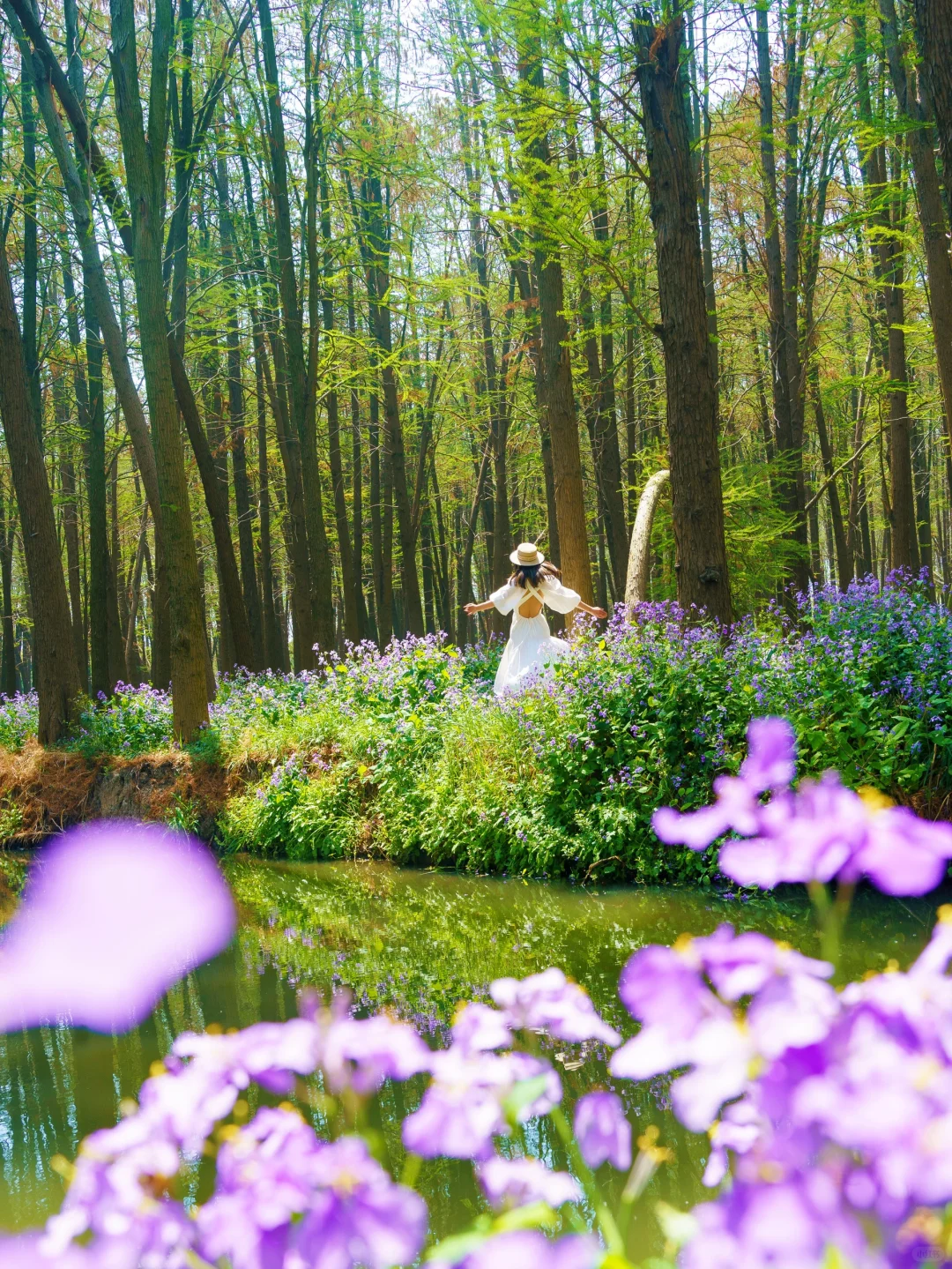 被《国家地理》评为最美的水上花海🌼有多绝👍