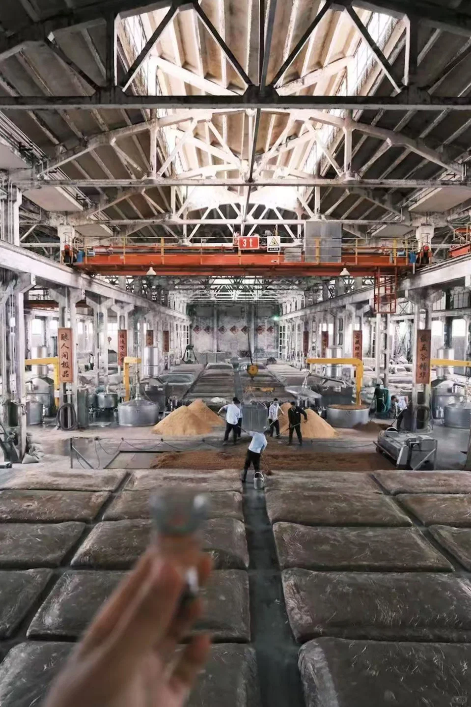 在陇南｜赏樱🌸品酿～