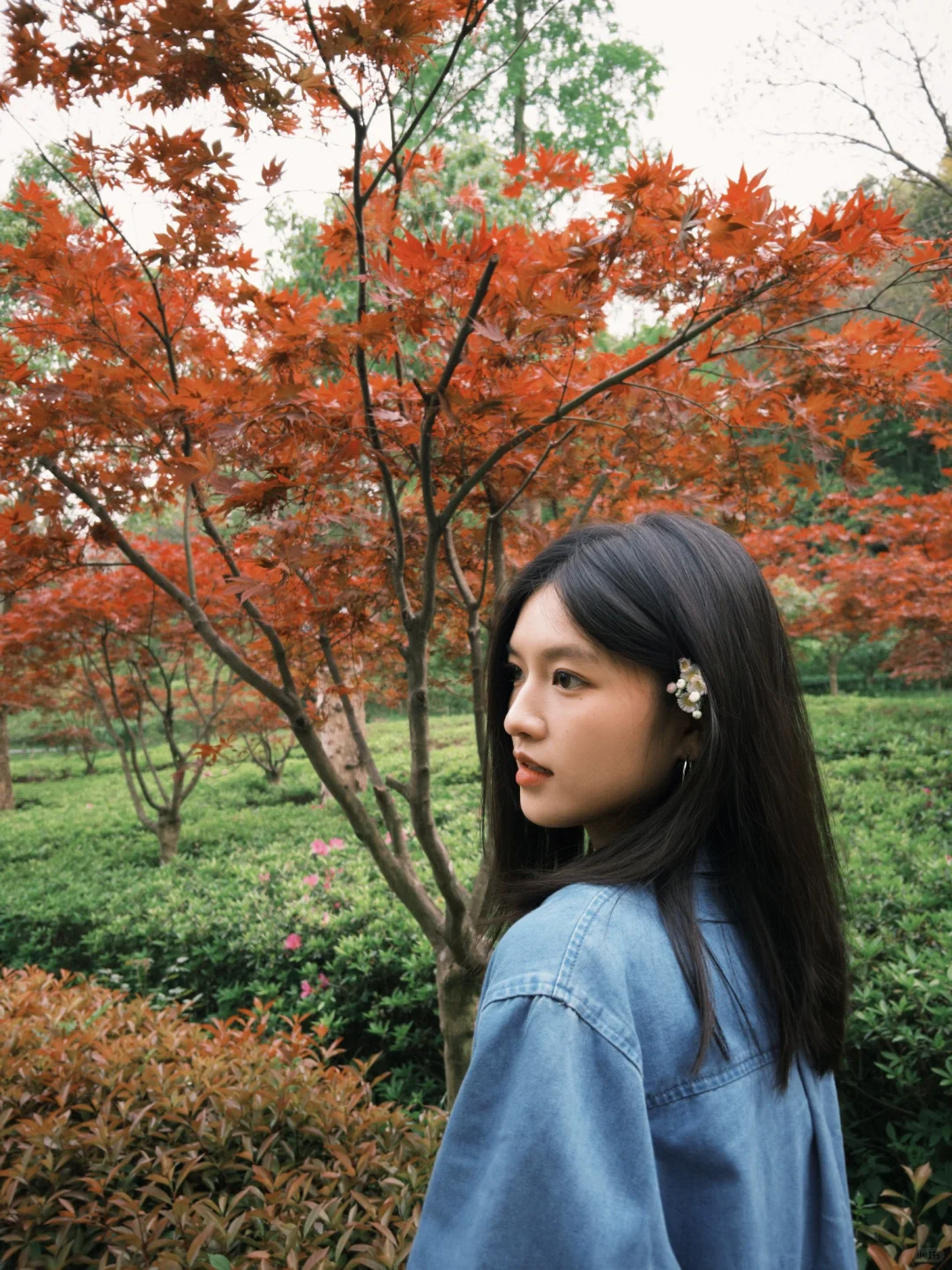 无关风月 我题序等你回