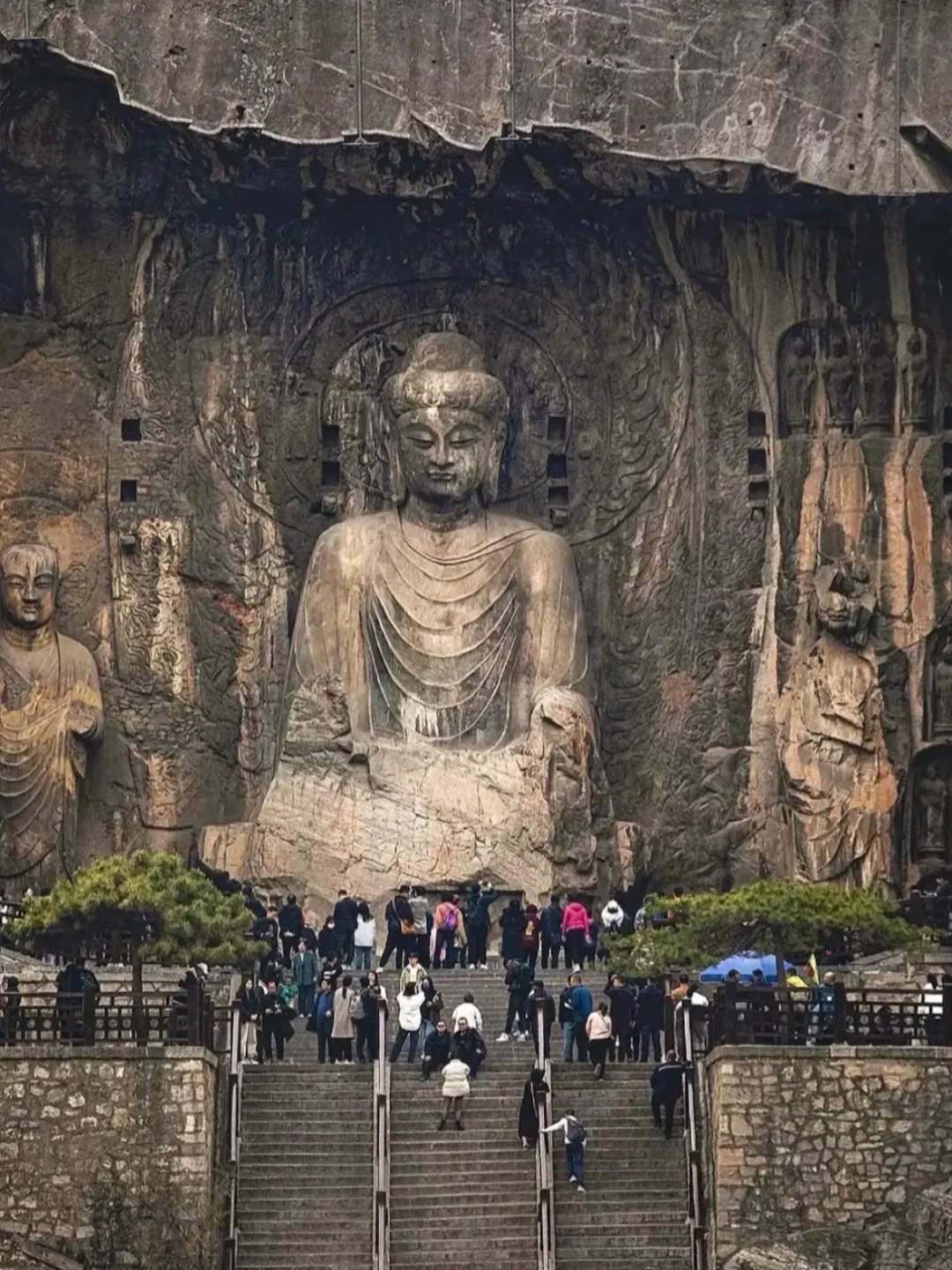 带爸妈去洛阳，2025赏花全攻略 路线+美食