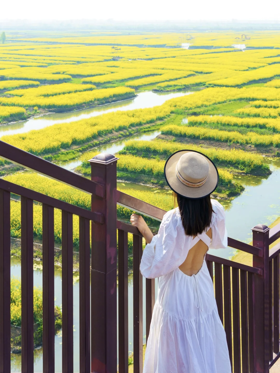 被《国家地理》评为最美的水上花海🌼有多绝👍