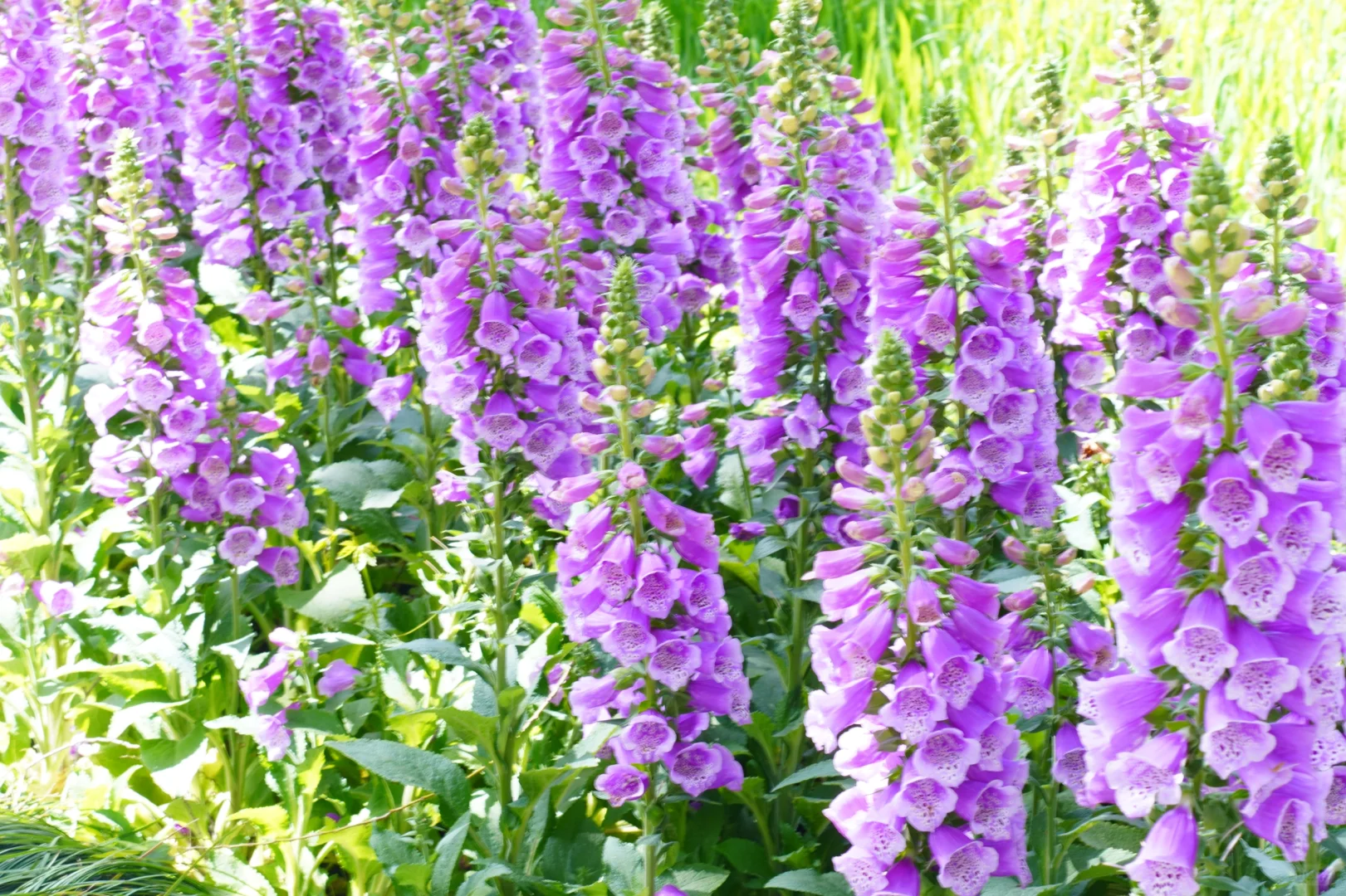 🚩杭州一日游 | 超全攻略带你玩转杭城