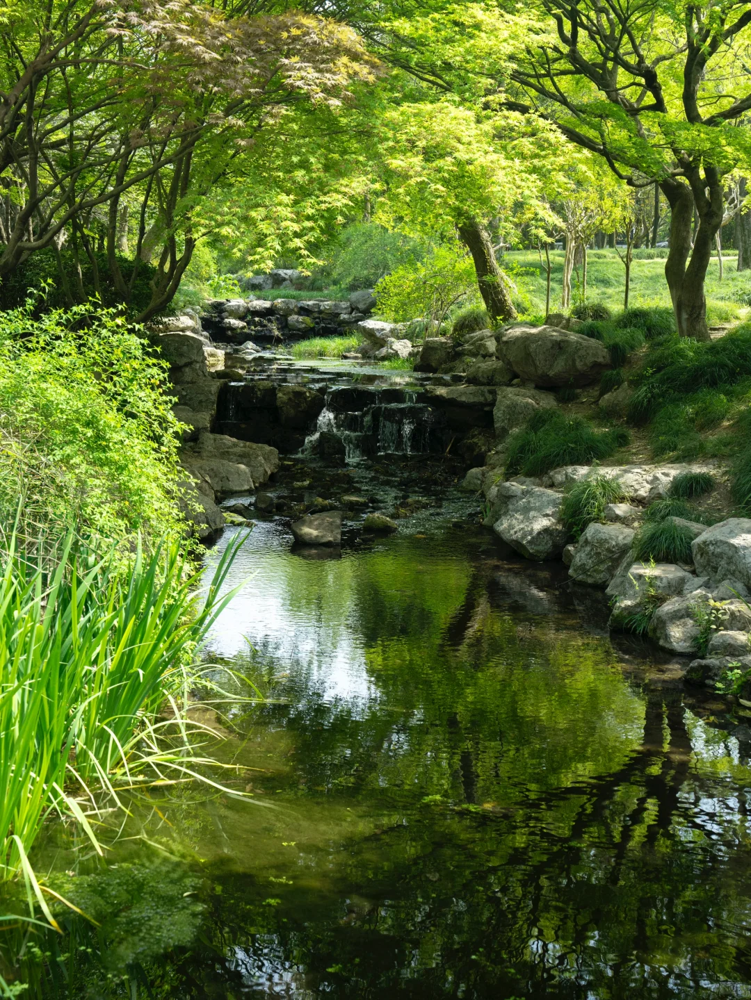 杭州|建议感觉能量低的人都走一下这个路线