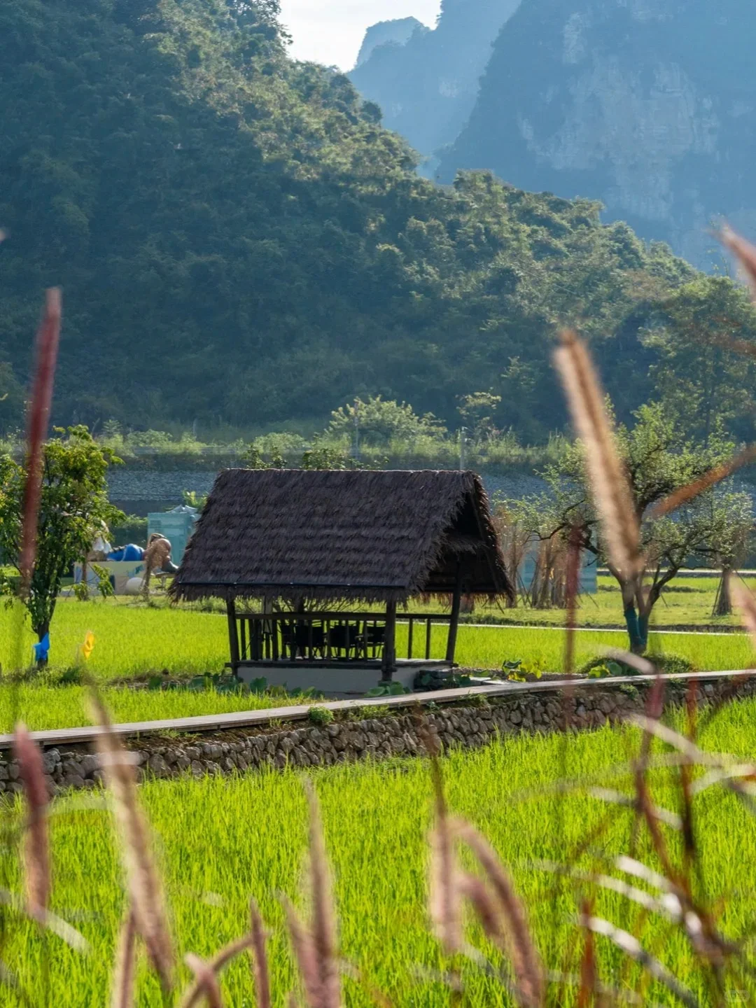 和老公去了崇左，真的和新西兰一样震撼！