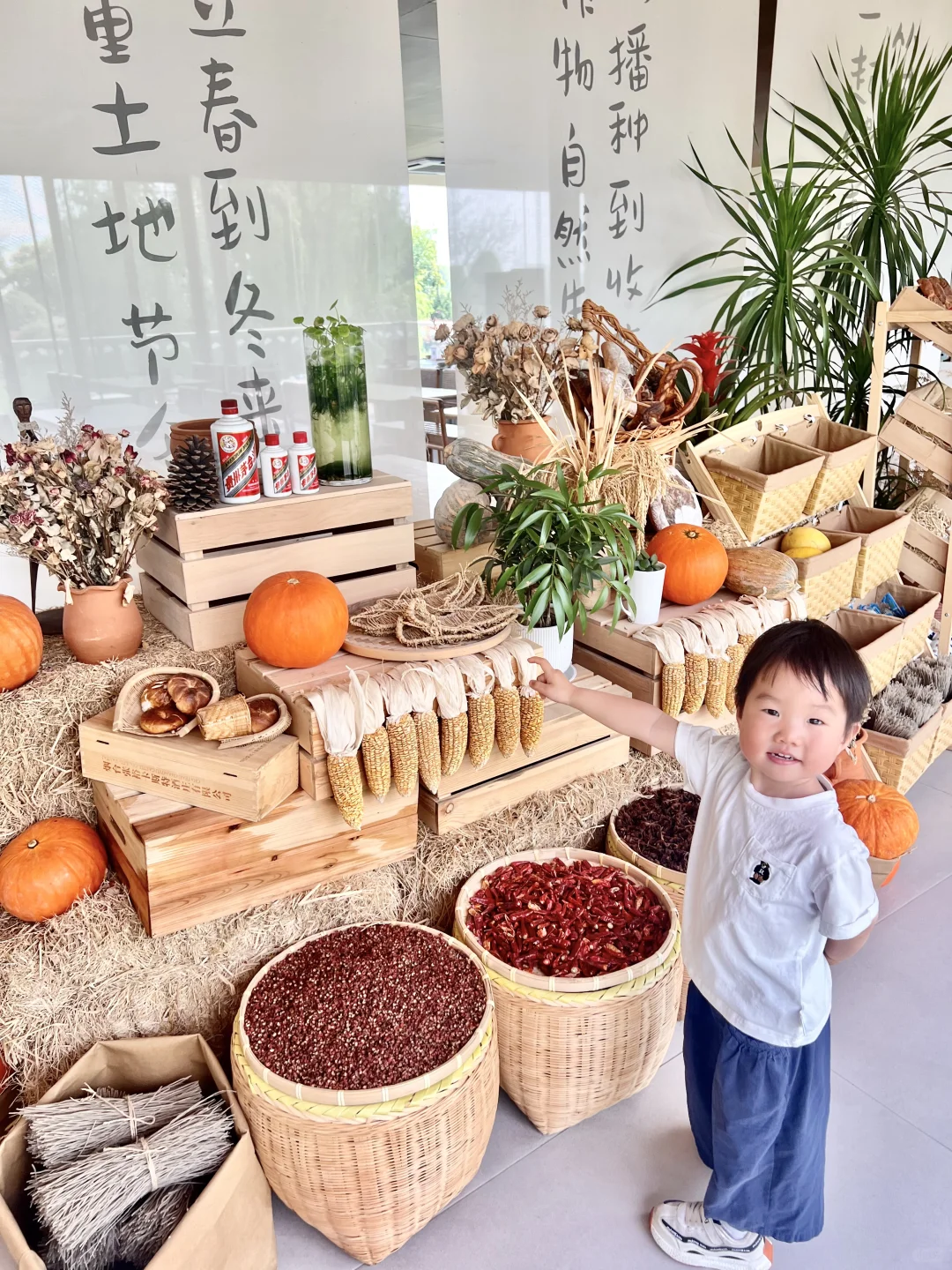 上海🚘1h 嘉兴两日游 撸宠游湖玩乐园卡丁车