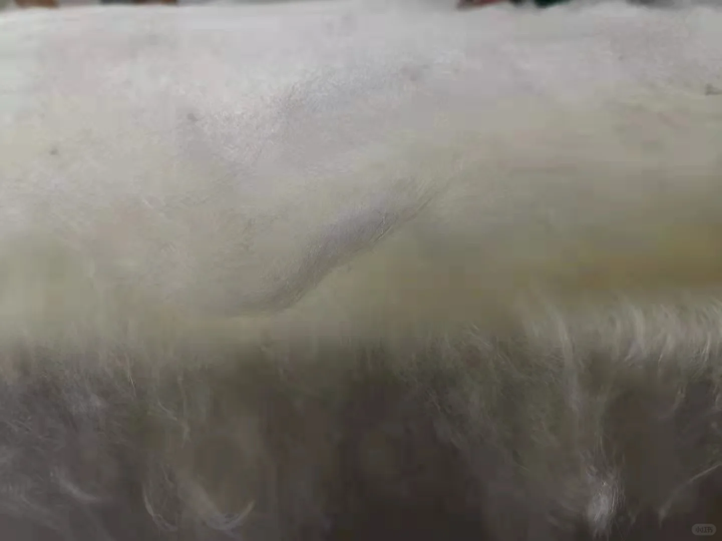 沈阳市旅游攻略