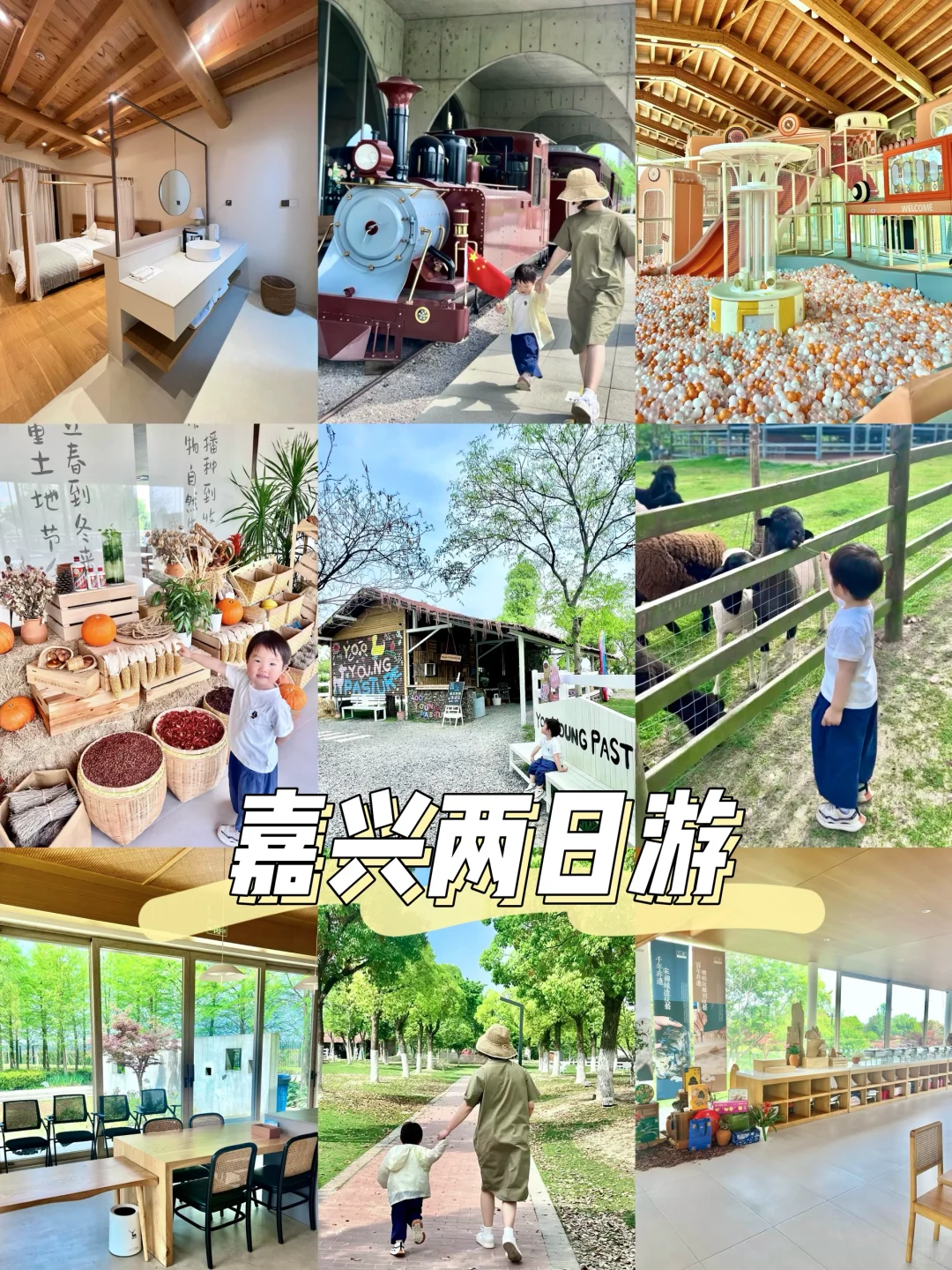 上海🚘1h 嘉兴两日游 撸宠游湖玩乐园卡丁车