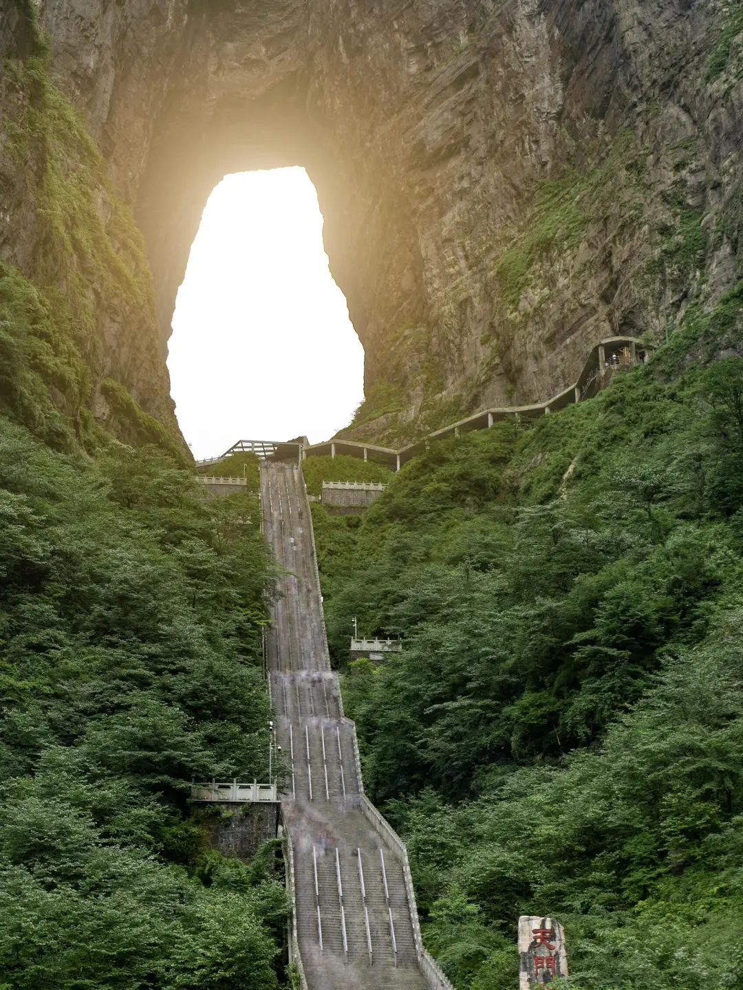 ⭕张家界5日游|超省心保姆级攻略 别划走