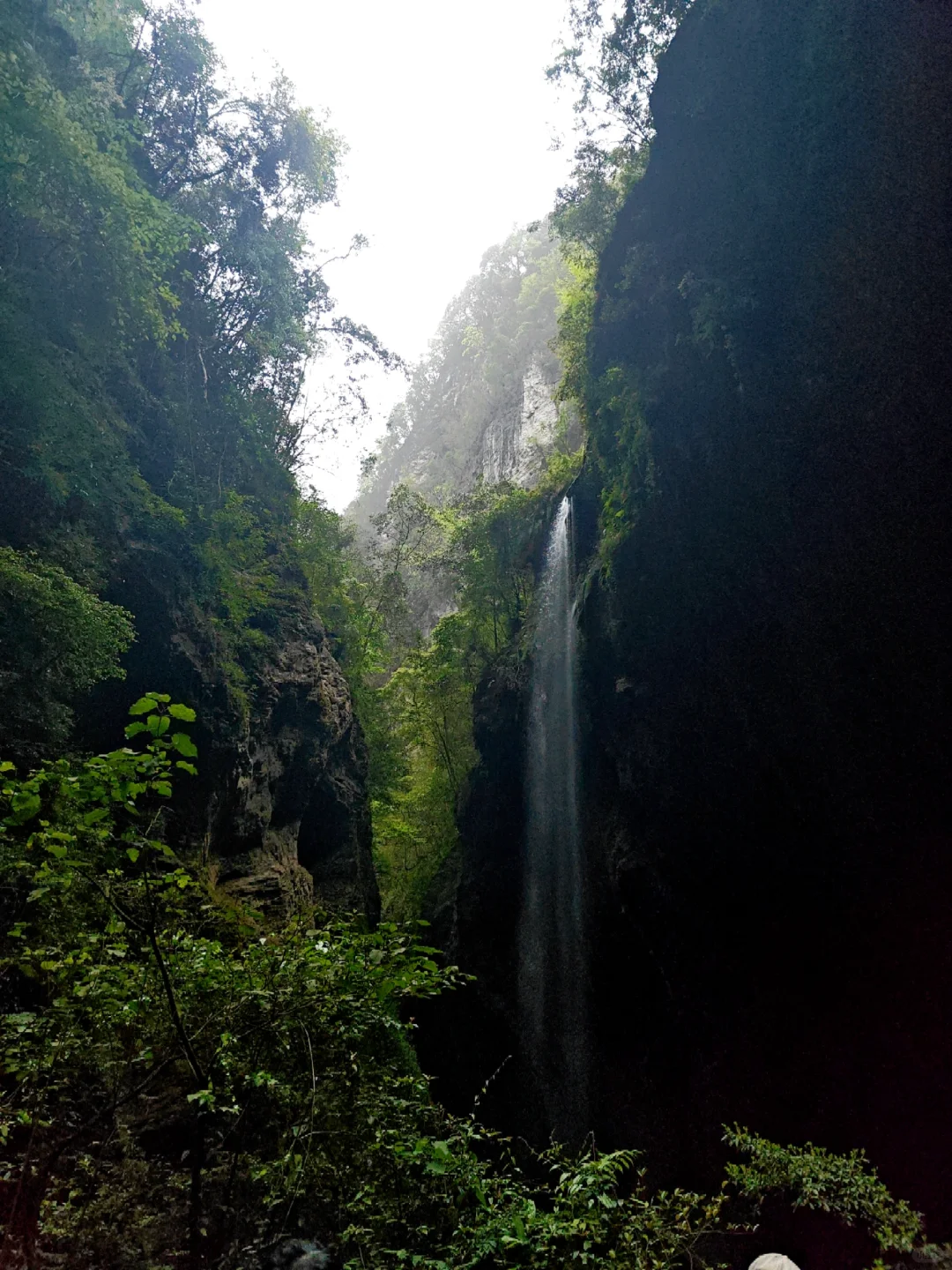 山里隐藏的水灵灵小瀑布🌊