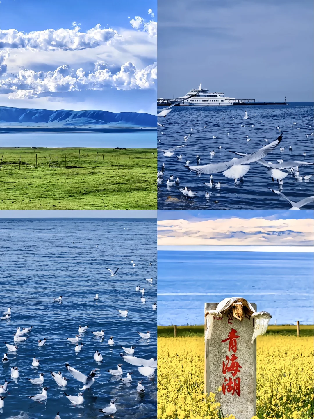 西北环线｜青海➕甘肃➕敦煌⛰五一攻略✅