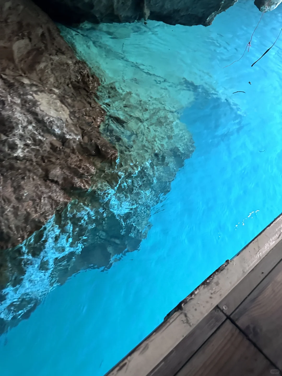 今日份三门海🩵🧊