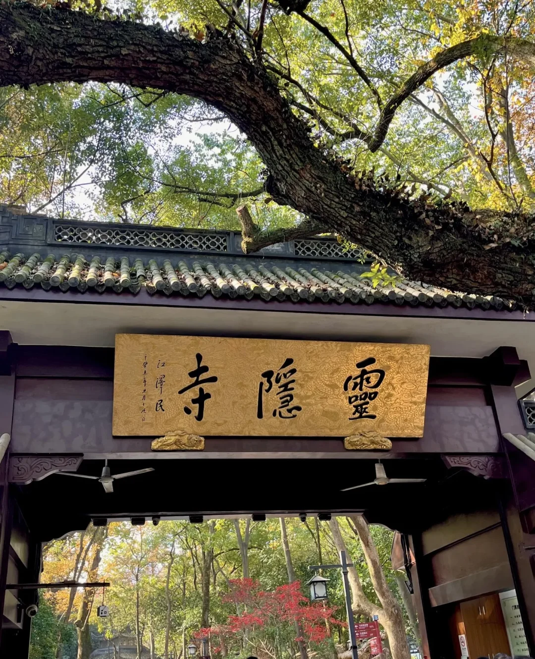 🚩杭州一日游 | 超全攻略带你玩转杭城