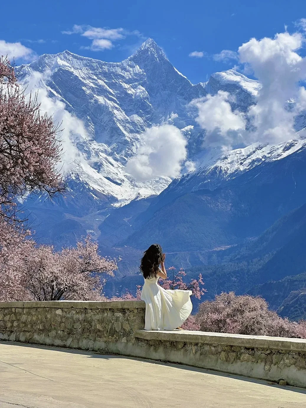 林芝的十里桃花🌸和日照金山，真的太震撼啦！