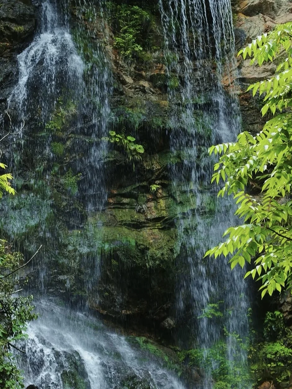 人间仙境之避暑胜地！神农架旅游攻略！！来