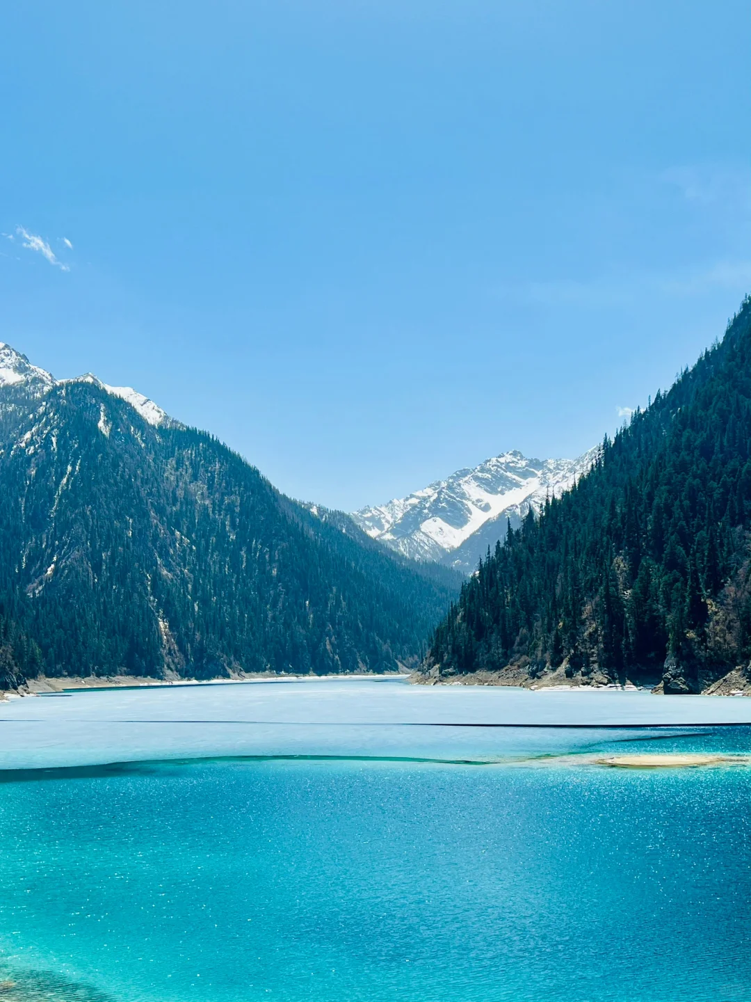 4.9📍九寨沟live实况直出…大自然的调色盘🎨