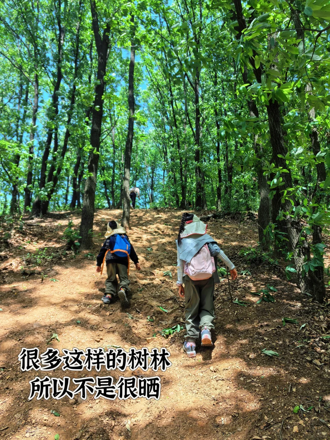 九真山小环线vs景区，哪个更适合带孩子