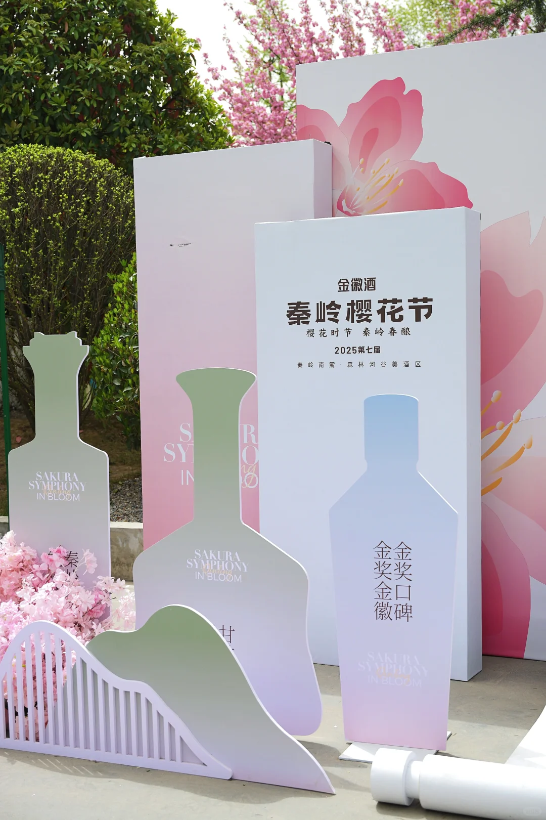 在陇南｜赏樱🌸品酿～