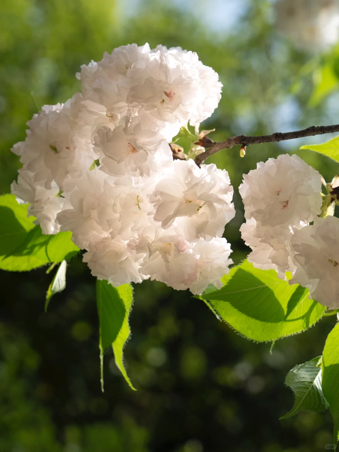 杭州|建议感觉能量低的人都走一下这个路线