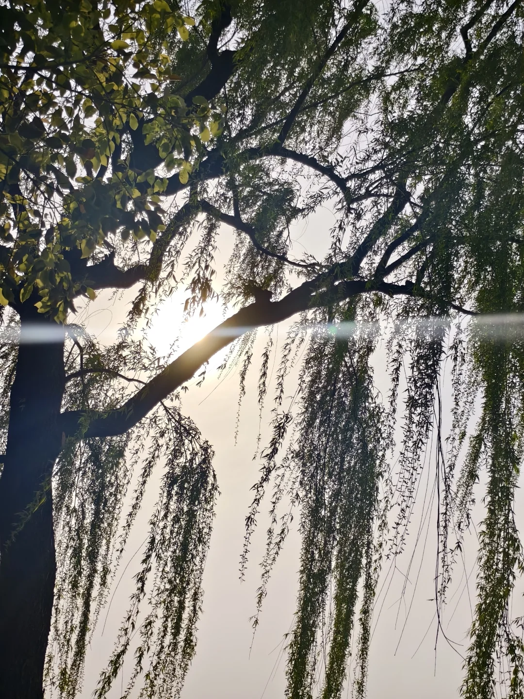 杭州旅游攻略体验分享