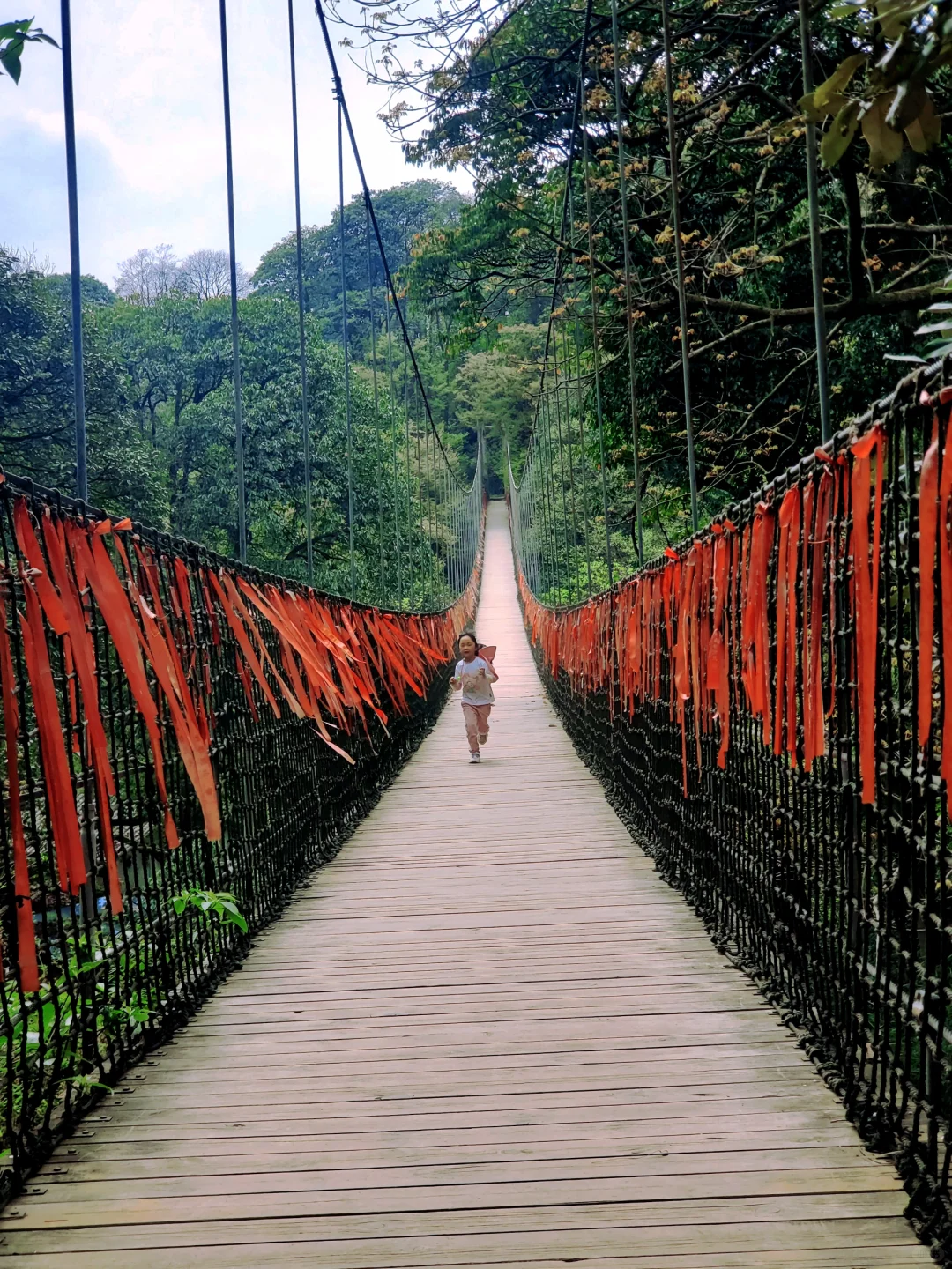 刚回来❗蒙顶山采茶徒步，亲子奖牌拿下‼️