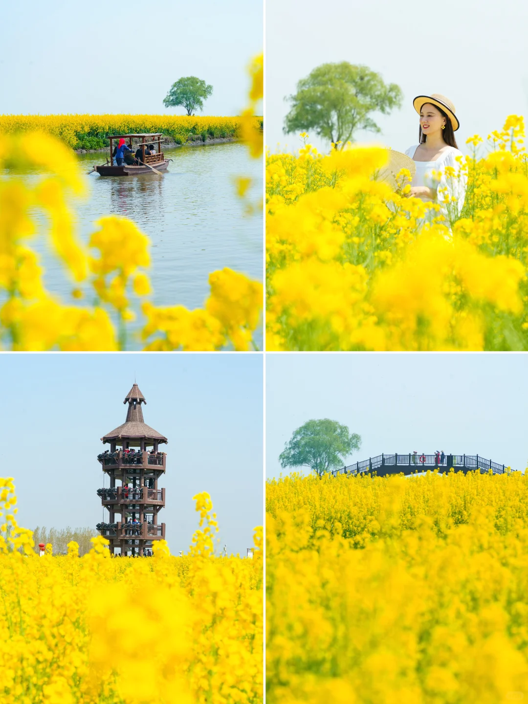 被《国家地理》评为最美的水上花海🌼有多绝👍