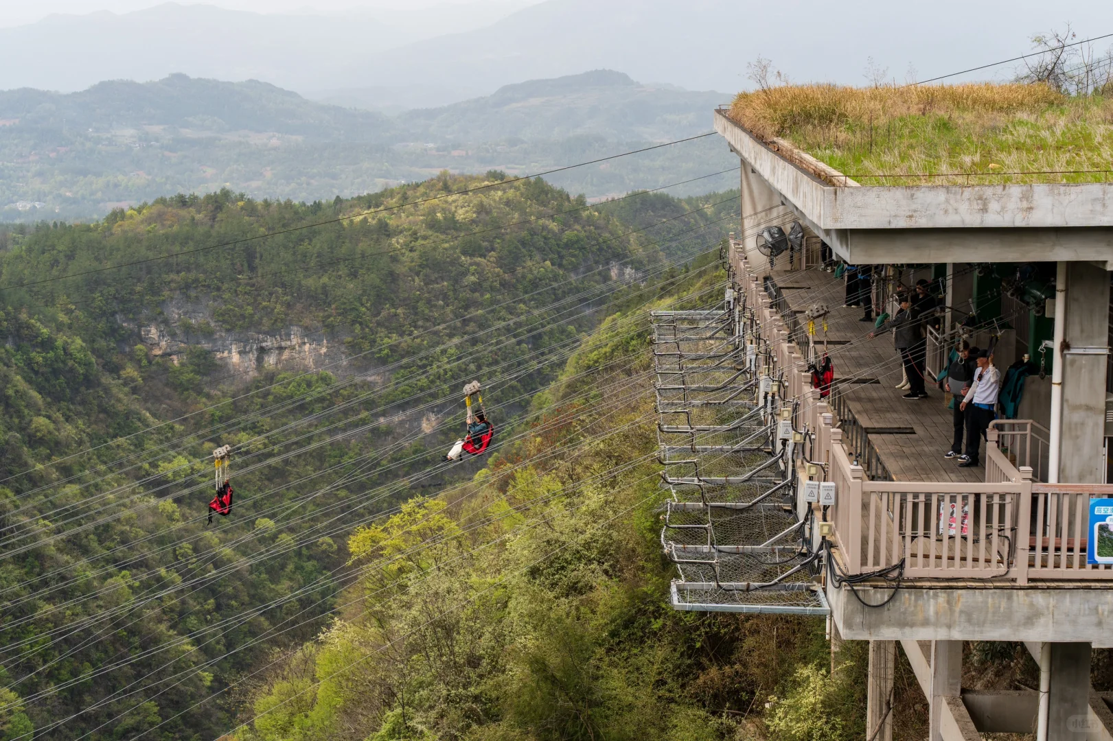 张家界⼤峡⾕真的不⽤宣传！还想再来 N 次