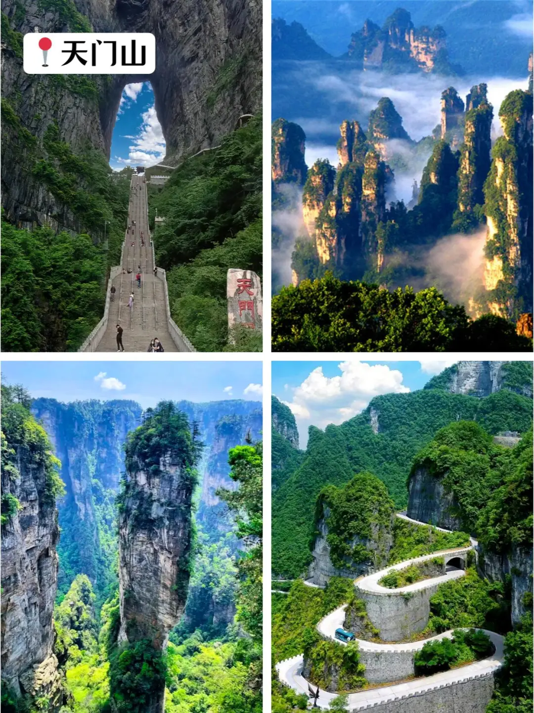 ⭕张家界5日游|超省心保姆级攻略 别划走