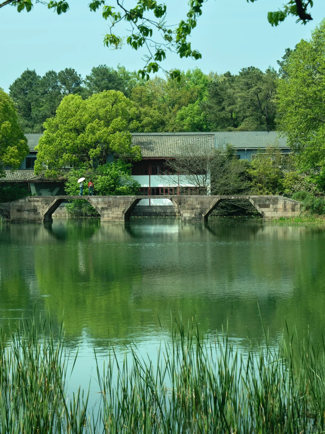 杭州|建议感觉能量低的人都走一下这个路线